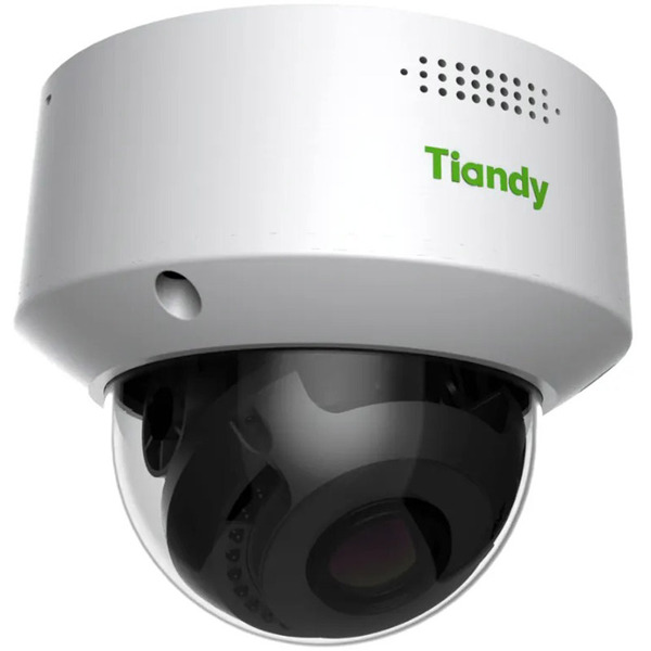 IP-камера TIANDY TC-C35MS 