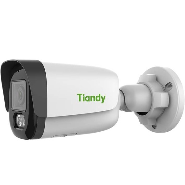 IP-камера TIANDY TC-C34WS 