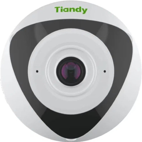 IP-камера TIANDY TC-C35VN 